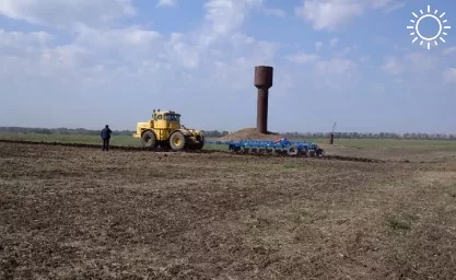 От заморозков в Ростовской области больше всего пострадала озимая пшеница