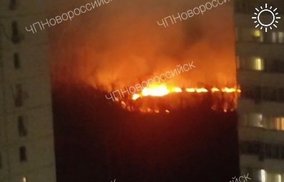 В Новороссийске произошел крупный пожар в Цемесской роще