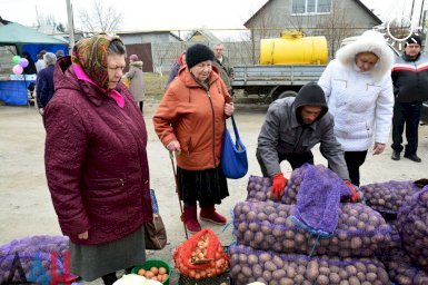 В ДНР собрано более 5 тыс. тонн картофеля и овощей