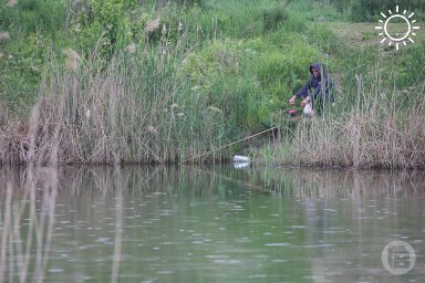 В Волгограде до 30 июня запретили рыбалку