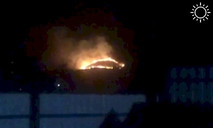 Ночью пожарные потушили возгорание площадью 200 кв. метров в лесном массиве Сочи