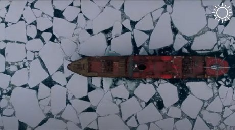 Краснодарцев приглашают на предпремьерный показ фильма «В Арктику»