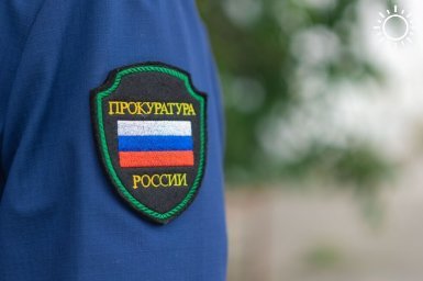 Прокуратура ДНР помогла вернуть долги по зарплатам работникам лесхоза и дорожникам