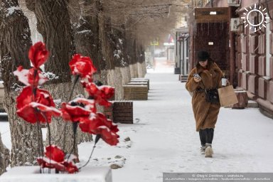 Какие законы вступили в силу в январе в Волгоградской области