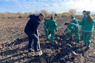 В Шовгеновском районе Адыгеи высадили саженцы дуба и черного ореха