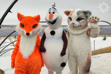 В волгоградском ЦПКиО гостей будут развлекать кот, лиса, веселый снеговик