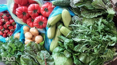 Овощи стали дешевле, а одежда дороже. Аналитики рассказали об уровне инфляции на Кубани