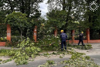 В краснодарскую Службу спасения поступило более 50 заявок от горожан