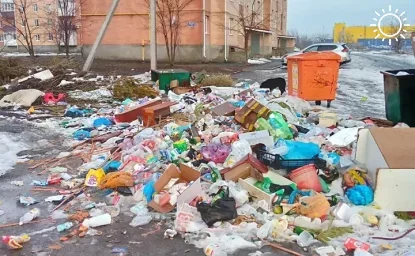 Жители Новошахтинска решили отнести весь мусор со свалок к зданию администрации