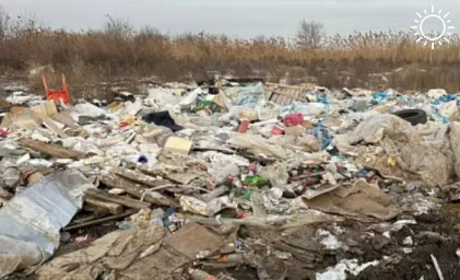 За прошлый год Росприроднадзор обнаружил в Астраханской области 65 несанкционированных свалок