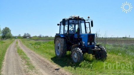 Как ЕГЭ мешает развитию крымской агрокультуры