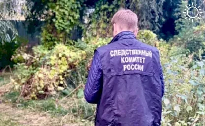 В Ростовской области нашли зарезанной женщину, пропавшую две недели назад