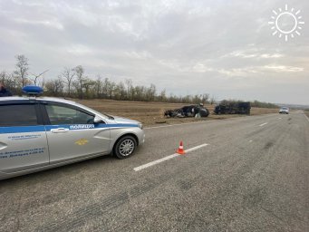 По факту ДТП со смертельным исходом в Городовиковском районе возбуждено уголовное дело