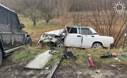 В ДТП в Ростовской области разбились дедушка и двое детей