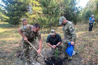 Волонтеры и ветераны высадили в Донецком ботсаду саженцы ели и кедра из Сибири