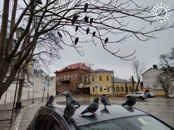 Мокрый снег, легкий дождь: завтра в Астрахани будет слякотно