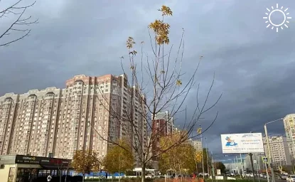 Синоптики предупредили жителей Ростовской области о надвигающейся непогоде