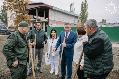 В Мариуполе высадили адаптированные на клеточном уровне березы и тополи