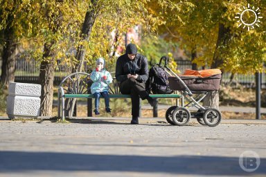 В Волгограде мужчины стали реже брать декретный отпуск вместо жен