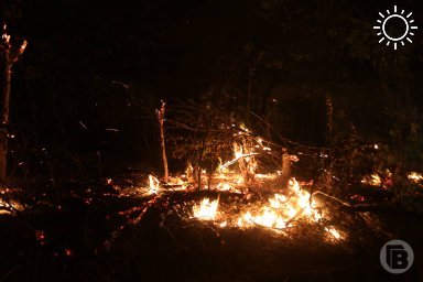 На острове Зеленый в Волжском заживо сгорела 84-летняя женщина