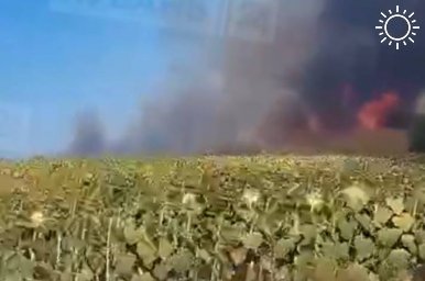 Сухая трава загорелась в Белореченском районе, огонь охватил 360 кв. метров
