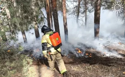 В Ростовской области горит 52 гектара леса