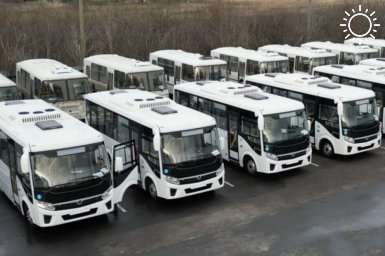 В ДНР до конца года обновят почти 250 муниципальных автобусов