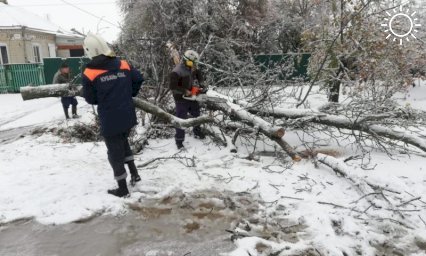 Упавшие из-за налипшего снега деревья второй день убирают спасатели в Тихорецке