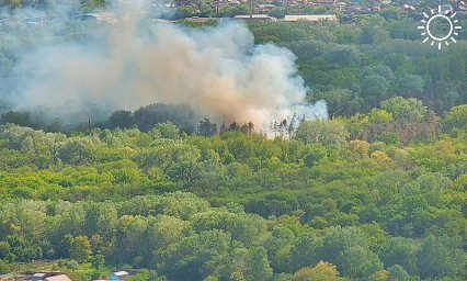 Третий за сутки лесной пожар произошел в Краснодарском крае