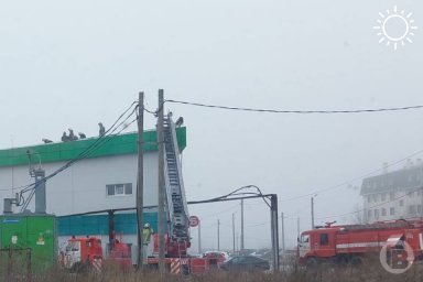 Торговый комплекс "Чижик" горел в Городище под Волгоградом