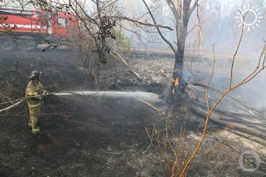 В Волго-Ахтубинской пойме волгоградские пожарные потушили пожар