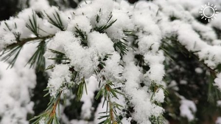 Налипание мокрого снега на деревьях и проводах ожидается 7 марта на Кубани