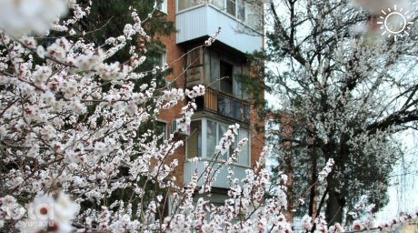 В начале 2024 года вторичная недвижимость в Краснодаре подорожала на 6,1% — исследование