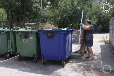 В Волгограде обсудили проблему свинарников у мусорных баков