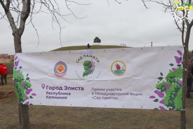 В столице Калмыкии высадили деревья в память о погибших в Великой Отечественной войне 