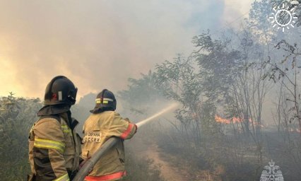 Почти 500 пожаров за лето произошло в Краснодаре