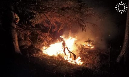 В окрестностях Мезмая в Апшеронском районе всю ночь тушили лесной пожар