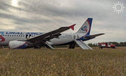 Самолет «Сочи — Омск» экстренно сел на грунт в Новосибирской области