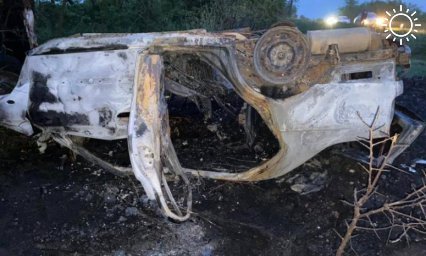 На Кубани водитель иномарки погиб, врезавшись в дерево