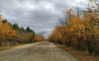 Резкое похолодание принесёт жителям Ростовской области наступившая неделя