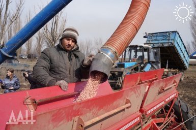 В новых регионах собрано 4,8 млн тонн урожая в прошлом году, сообщила Абрамченко