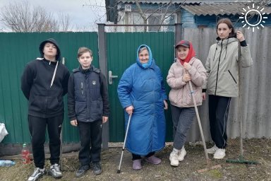 Под Волгоградом волонтеры убрали мусор на участках пенсионеров