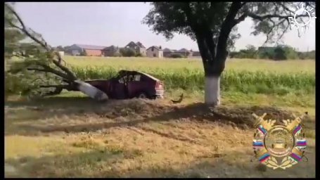 ​На трассе в Армавире врезался в дерево и погиб 75-летний водитель