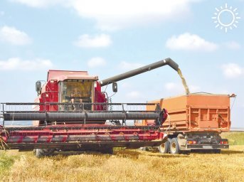 В Крыму стартовала уборка зерновых: урожай соберут более чем с 500 тысяч гектаров