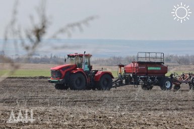 Сев ранних зерновых и зернобобовых культур в ДНР завершен уже на 90%