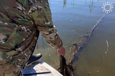 В Волгоградской области инспекторы нашли две тонны рыбы, брошенной в сетях