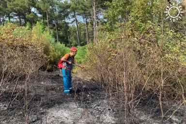 Два крупных лесных пожара тушат на курортах Краснодарского края