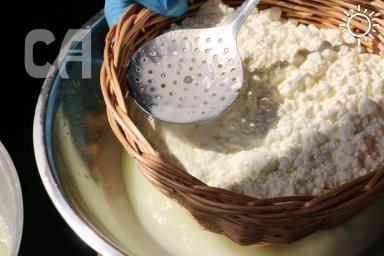 Лучшим сыроваром на Фестивале адыгейского сыра стала мастер из Тахтамукайского района