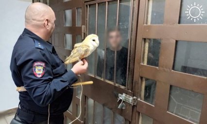 Фотографа-живодера с совой задержали в Сочи