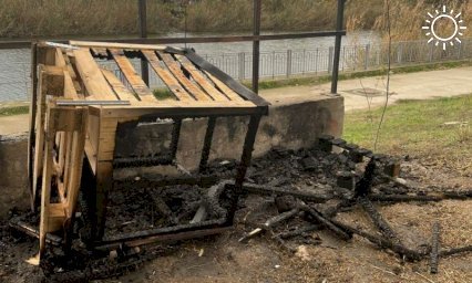Неизвестные сожгли будки для бродячих собак в Краснодаре